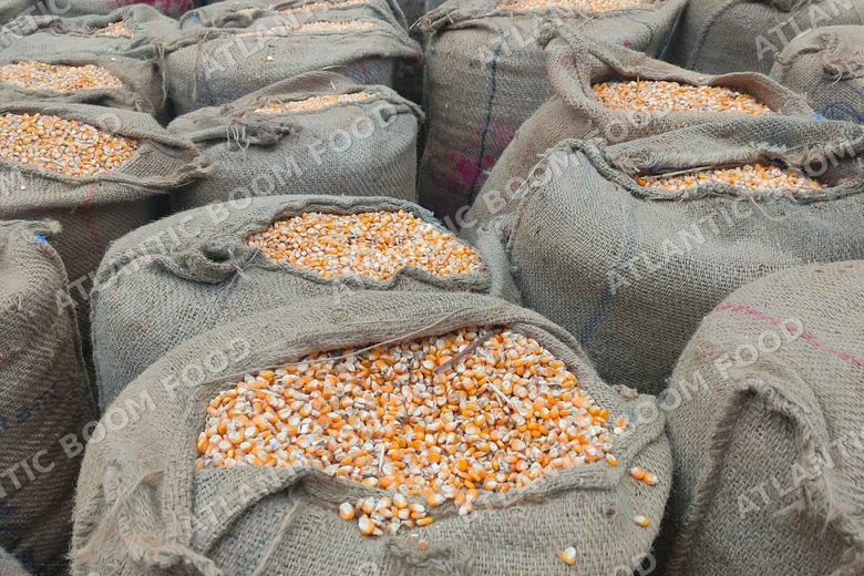 Atlantic Boom Food export photo