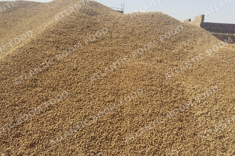 Atlantic Boom Food export photo