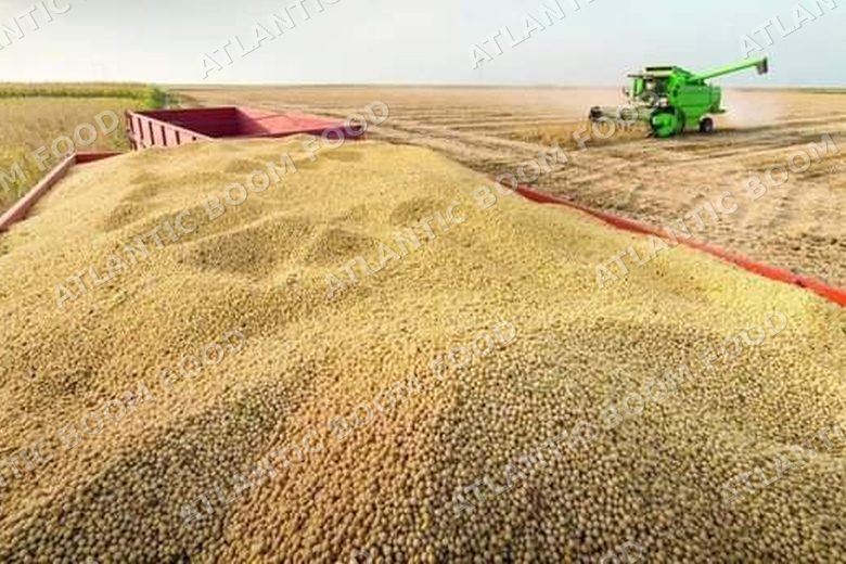 Atlantic Boom Food export photo