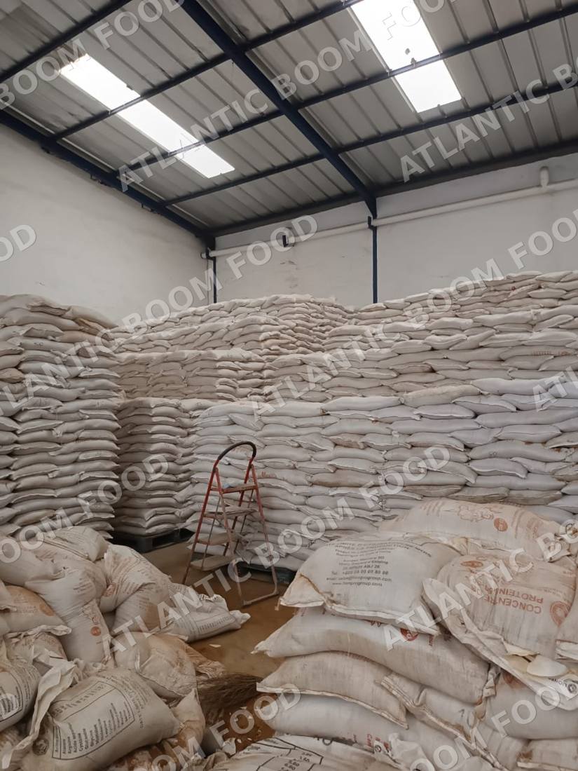 Fish meal and animal feed - Atlantic Boom Food export