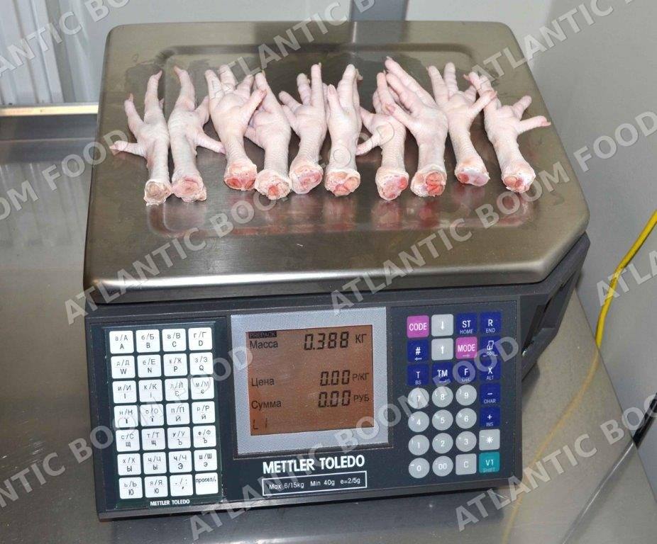 Frozen meat and poultry - Atlantic Boom Food export