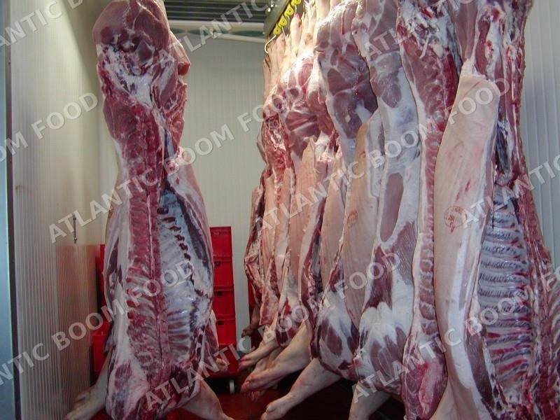 Frozen meat and poultry - Atlantic Boom Food export