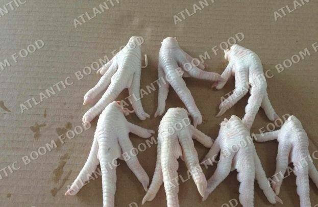 Frozen meat and poultry - Atlantic Boom Food export
