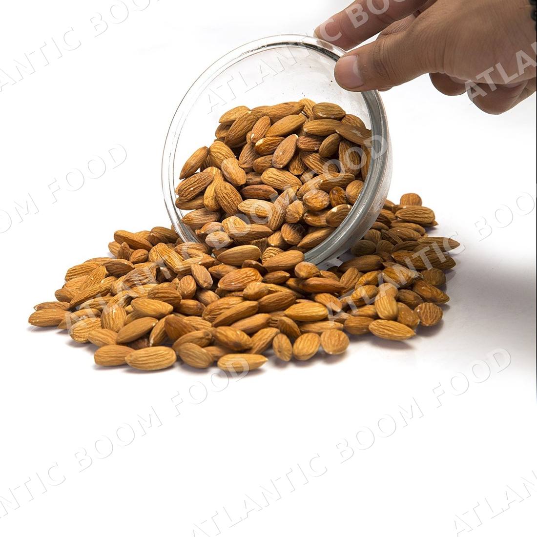 Nuts and seeds - Atlantic Boom Food export