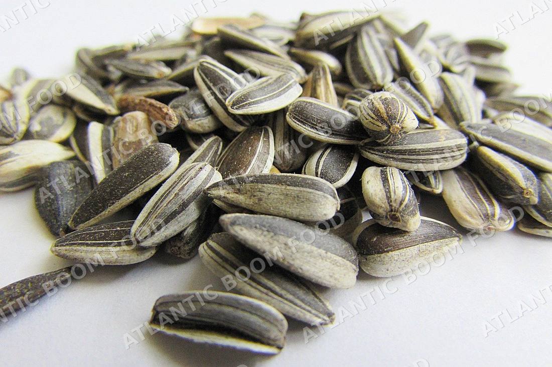 Nuts and seeds - Atlantic Boom Food export