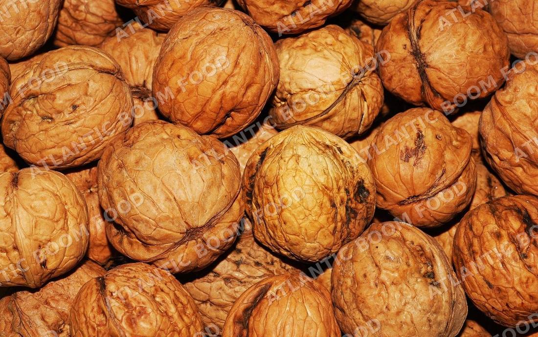 Nuts and seeds - Atlantic Boom Food export