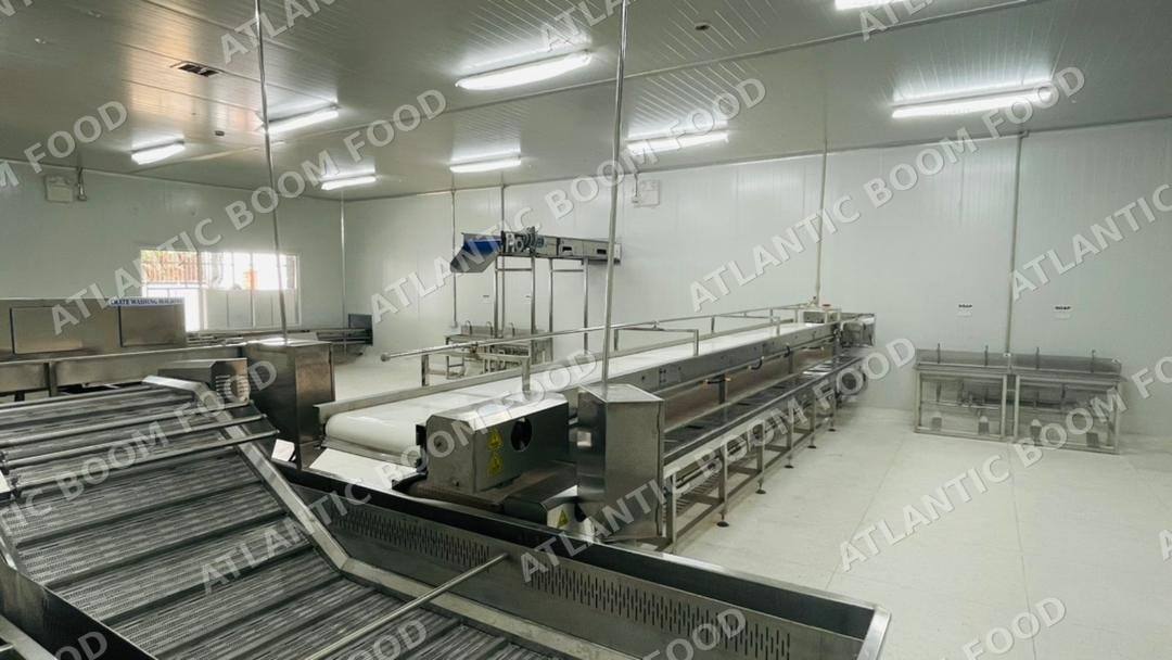 Production and logistics - Atlantic Boom Food export