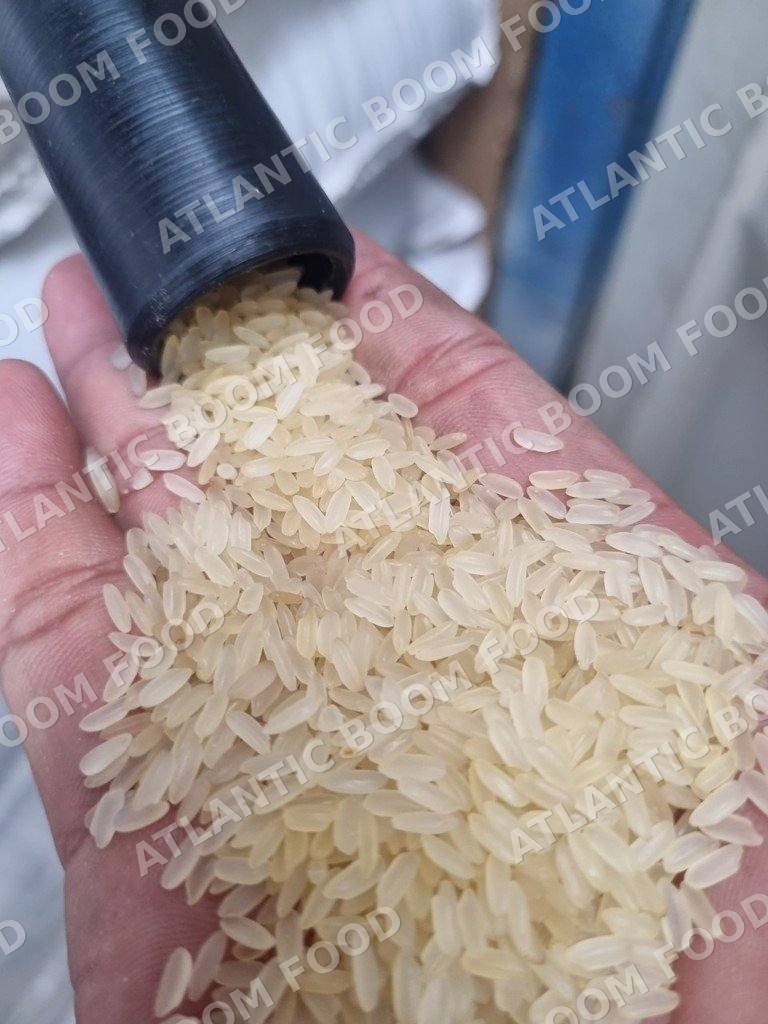 Rice - Atlantic Boom Food export
