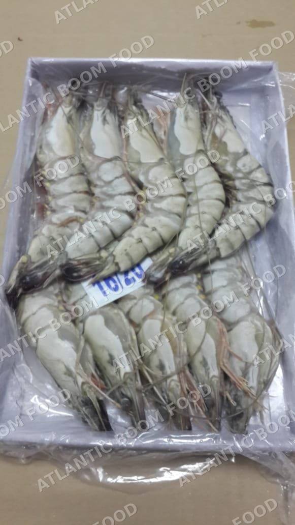 Crustaceans: shrimp, crab, lobster - Atlantic Boom Food export