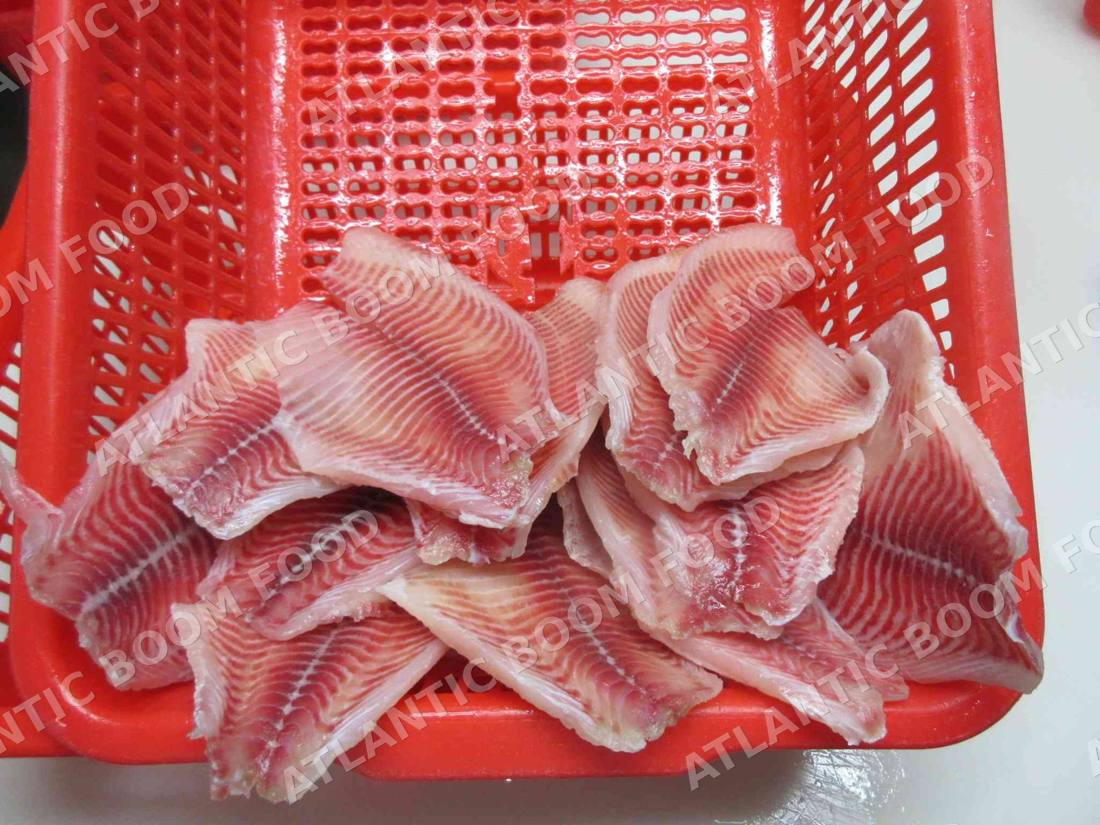 Fish fillets and salmon - Atlantic Boom Food export
