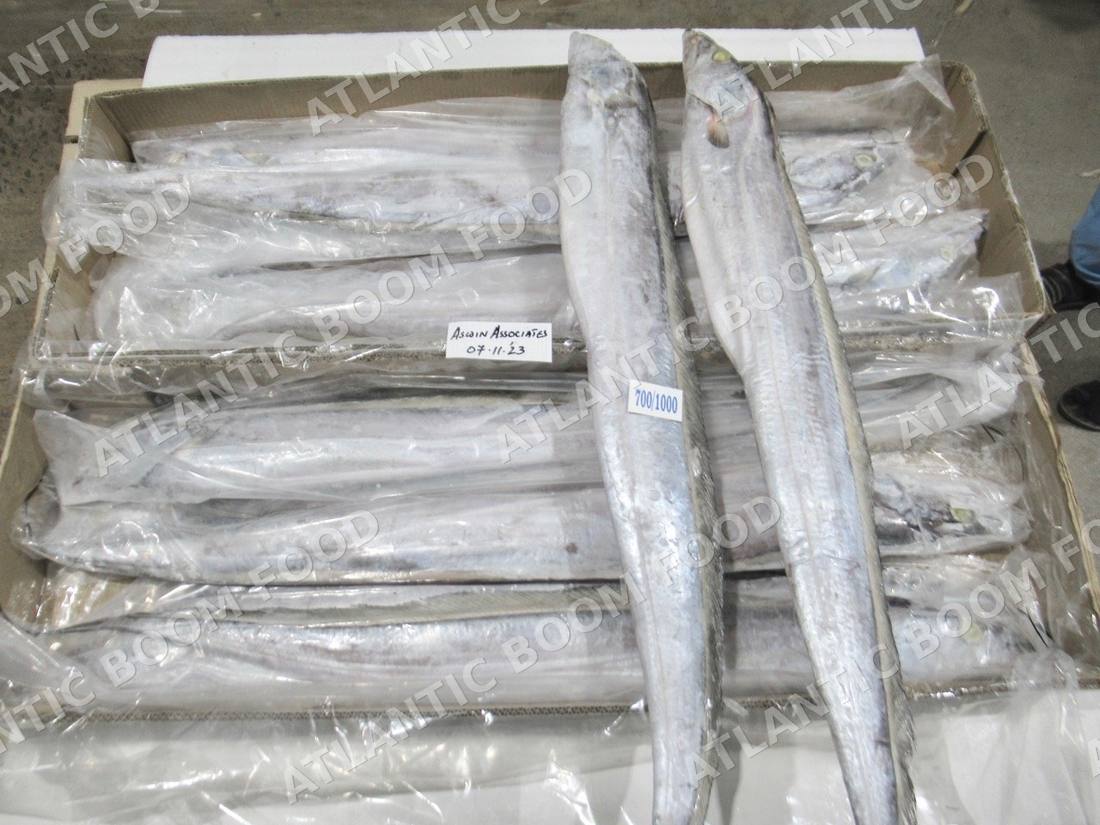 Whole frozen fish - Atlantic Boom Food export