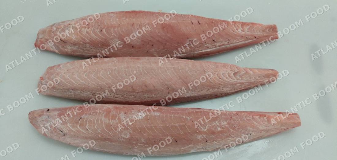 Tuna and bonito - Atlantic Boom Food export