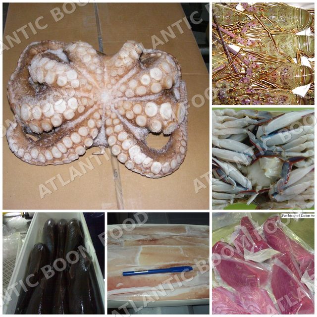 Atlantic Boom Food export photo
