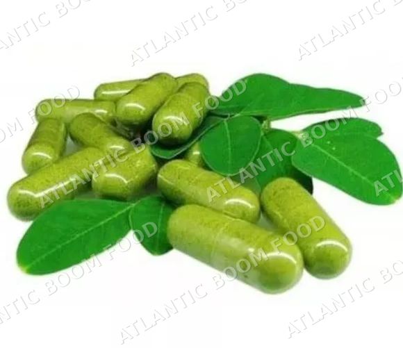 Moringa