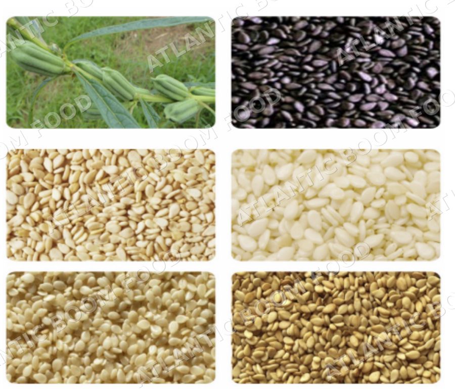 Sesame seeds